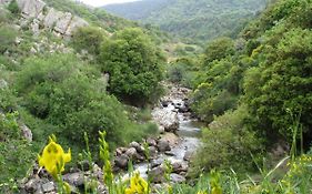 Tourism In The Village